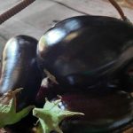 खाना पकाने से पहले बैंगन को नमकीन बनाना: कैसे कड़वाहट दूर हो जाती है और उत्तम स्वाद पैदा होता है unnamed-file.jpg